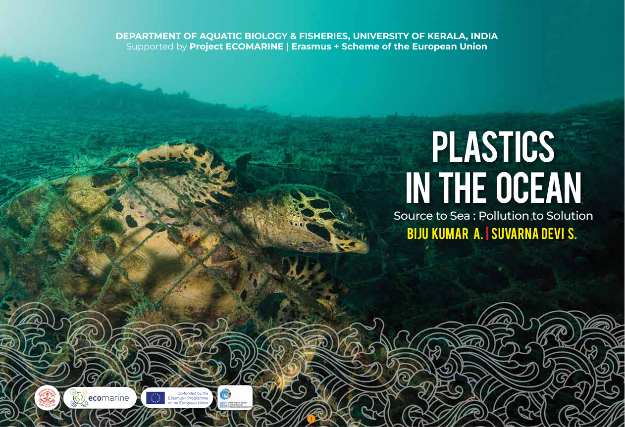 PLASTICS IN THE OCEAN