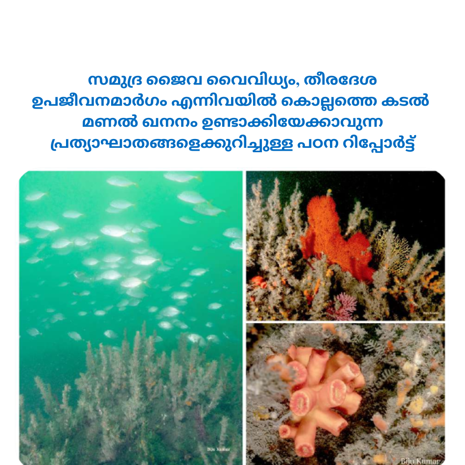 REPORT ON THE POSSIBLE IMPACTS OF OFFSHORE SEA SAND MINING OFF KOLLAM ON MARINE BIODIVERSITY AND COASTAL LIVELIHOODS